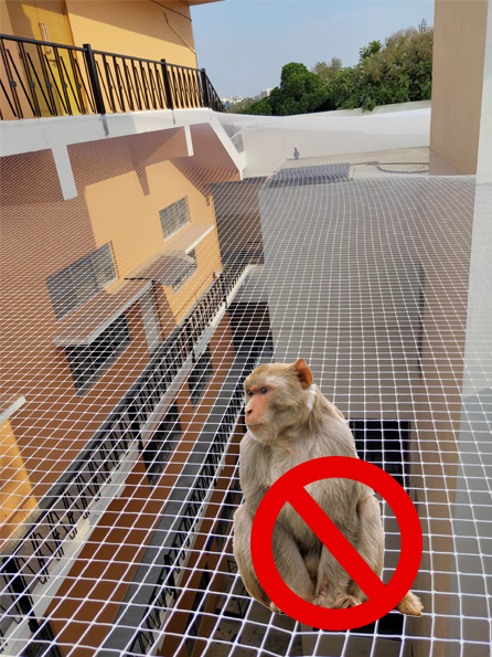Monkey Safety Nets Hyderabad